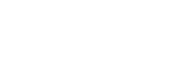 logo Nitens sing blanc