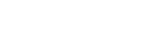 logo Nitens sing blanc